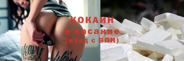 сатива Баксан
