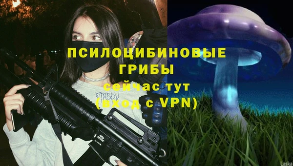 сатива Баксан