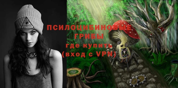 сатива Баксан
