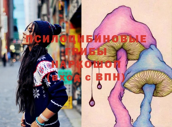 сатива Баксан