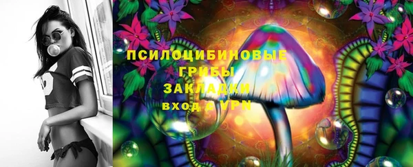 сатива Баксан