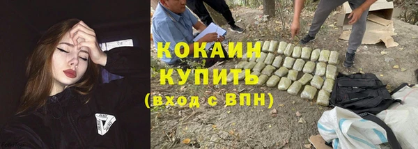 спиды Аркадак