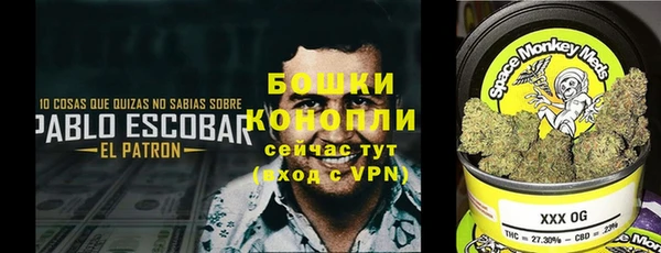 сатива Баксан