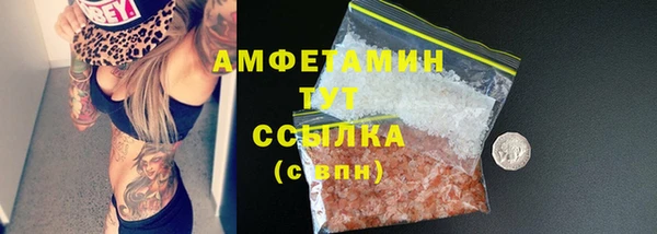 сатива Баксан